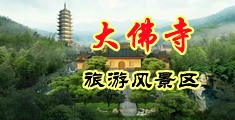 大鸡巴干小骚逼视中国浙江-新昌大佛寺旅游风景区